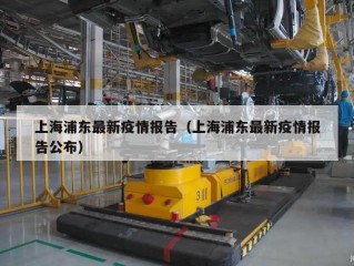 上海浦东最新疫情报告（上海浦东最新疫情报告公布）