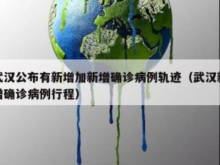 武汉公布有新增加新增确诊病例轨迹（武汉新增确诊病例行程）