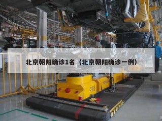 北京朝阳确诊1名（北京朝阳确诊一例）