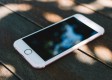 k球app官方下载免费版官方版下载-k球app官方下载_最新版下载v.5.54.84-苹果版
