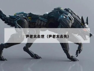 尹老太去世（尹老太去死）